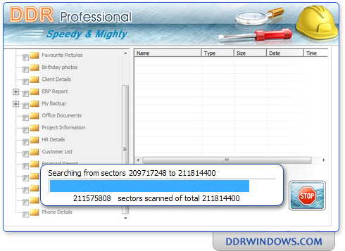 Screenshots of DDR Professional – Data Recovery Software to recover data