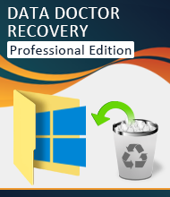 DDR DDR Professional - The Speedy & Mighty Data Recovery Software
